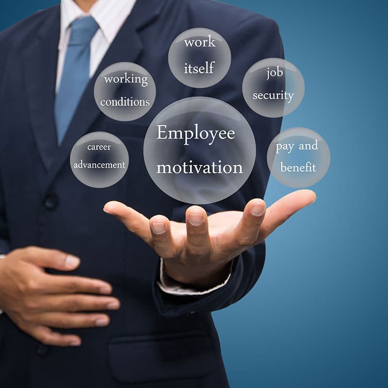 Competitive Employee Benefits Package Options